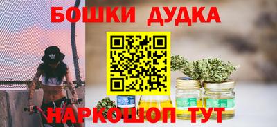 индика Рузаевка