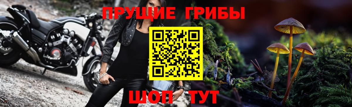 Псилоцибиновые грибы Magic Shrooms  Вход с VPN  Псилоцибиновые грибы GOLDEN TEACHER  Россошь 